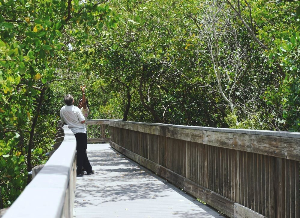 people walking in anna maria island preserve