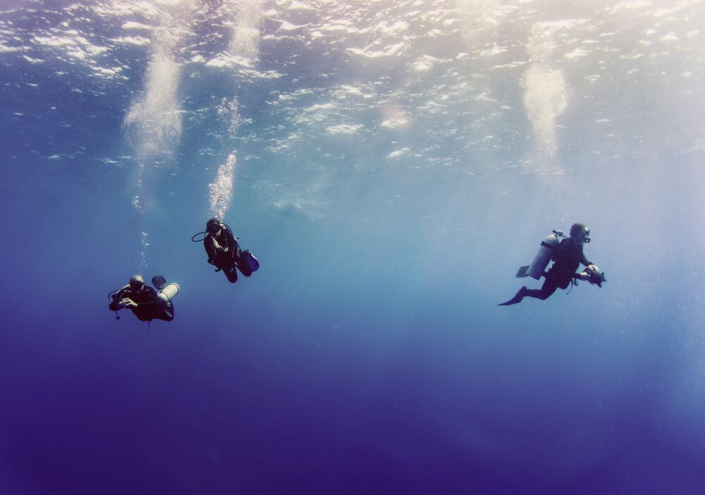 scuba divers in water