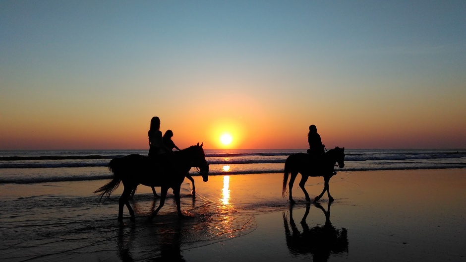 A Local’s Guide to Dining, Entertainment & Island Fun on Anna Maria Island, FL