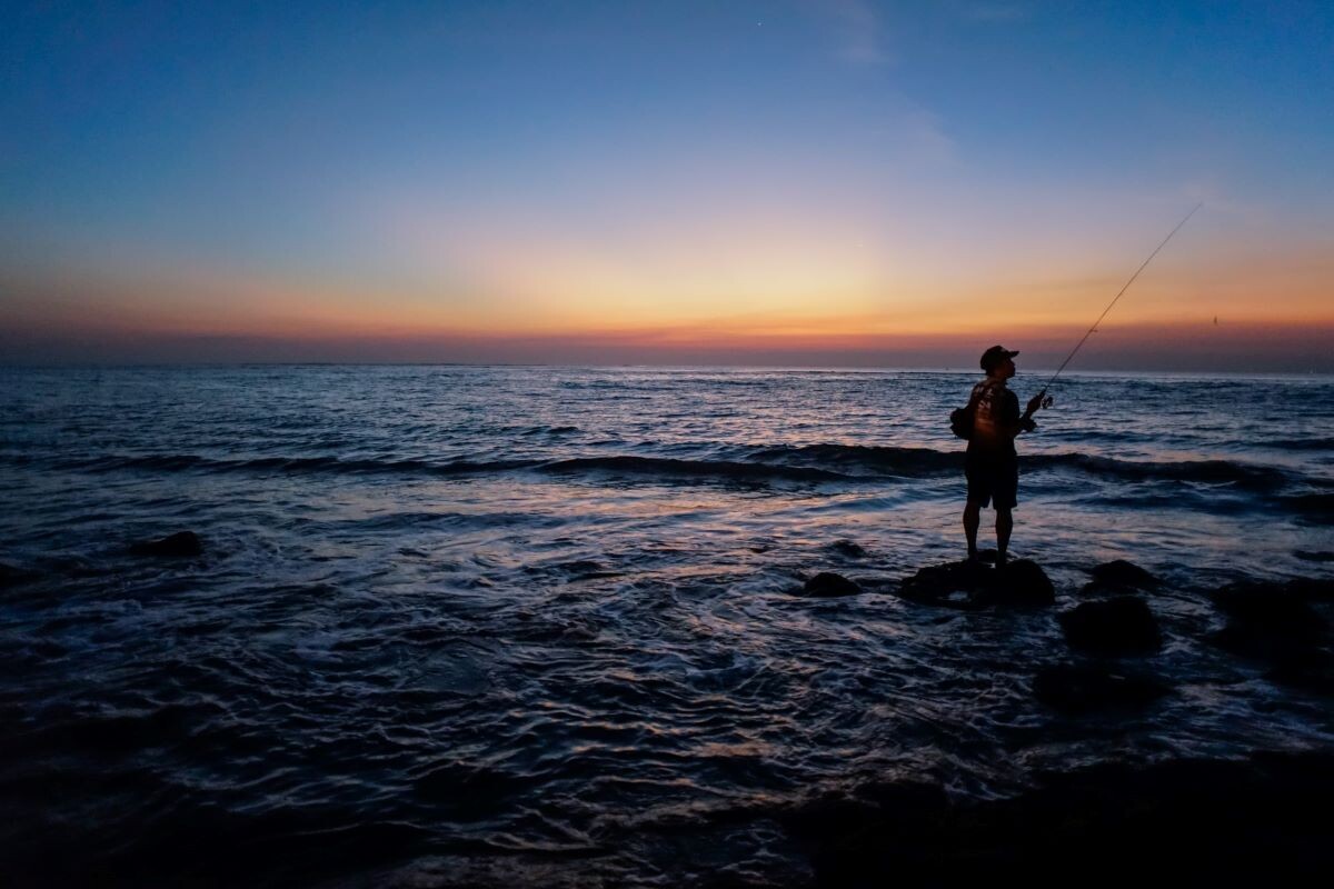 The Top 10 Saltwater Game Fish on Anna Maria Island