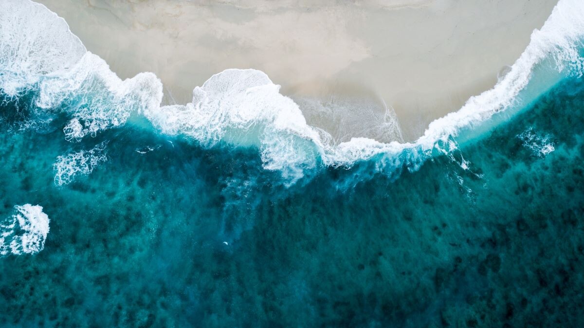 6 Ocean Activities You Must Try on Anna Maria Island